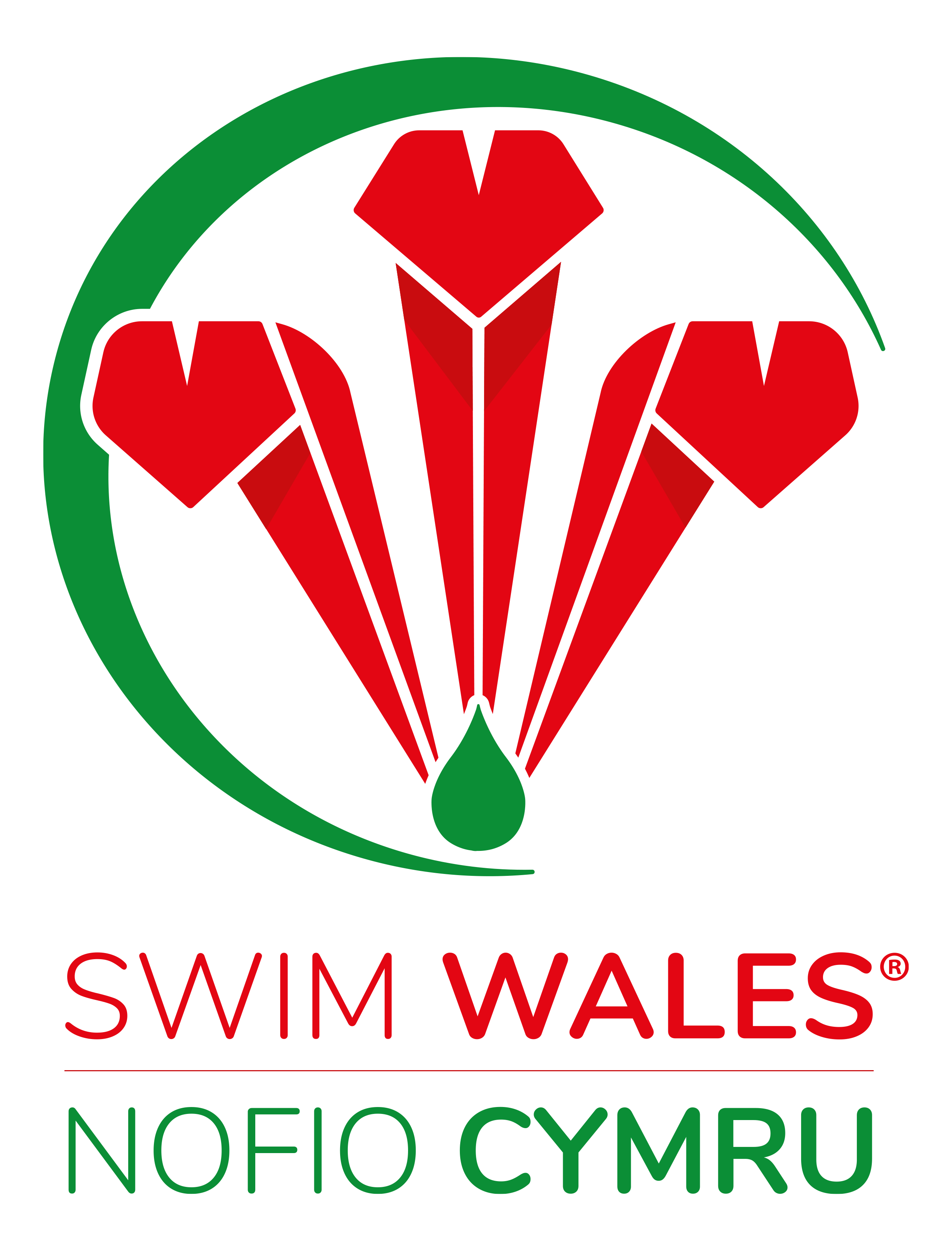 Swim Wales logo